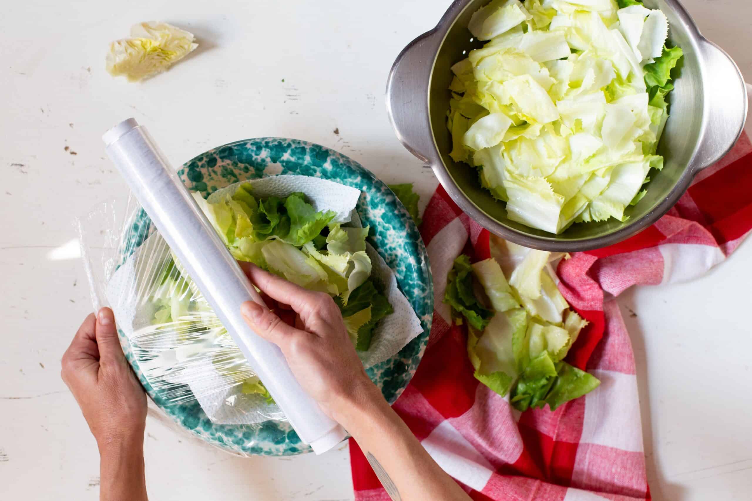 Consigli per conservare le insalate nel frigorifero